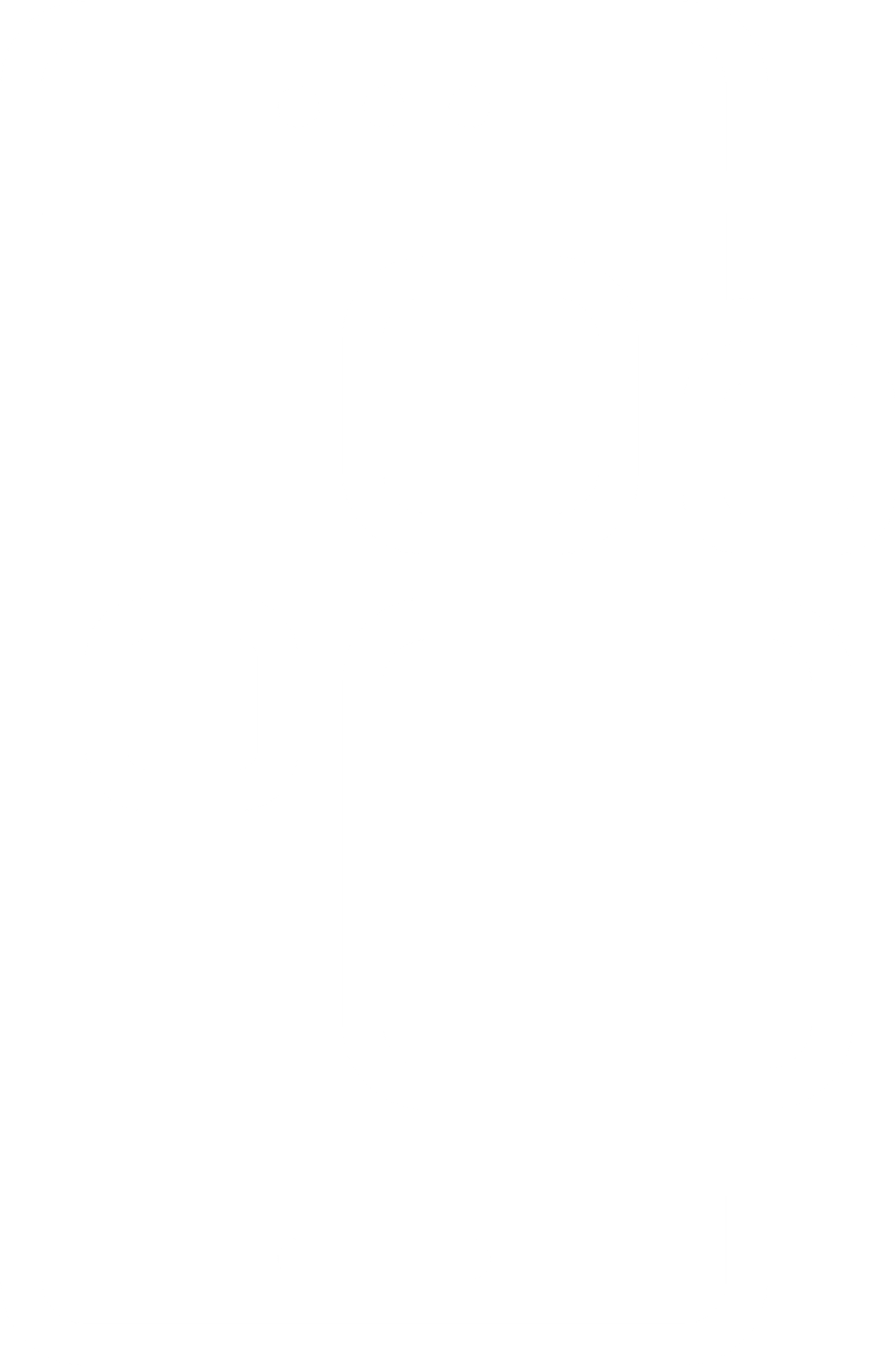 chipoustore-logomarca